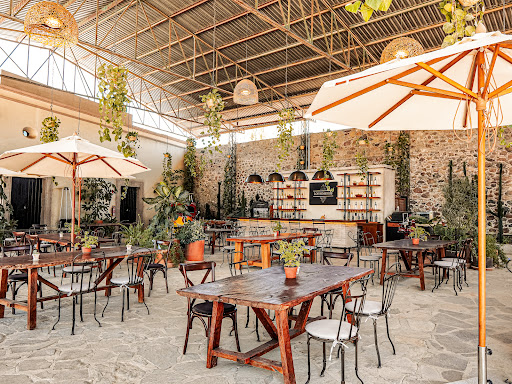 Restaurante Viñedos Los Remedios