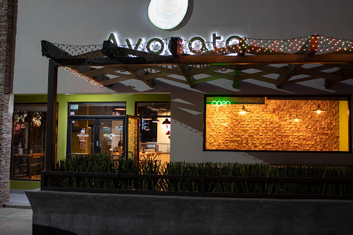 Avocato Cocina Creativa