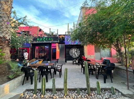 Ponciano Arriaga 158