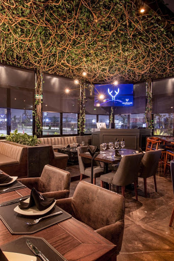 Mochomos Aguascalientes