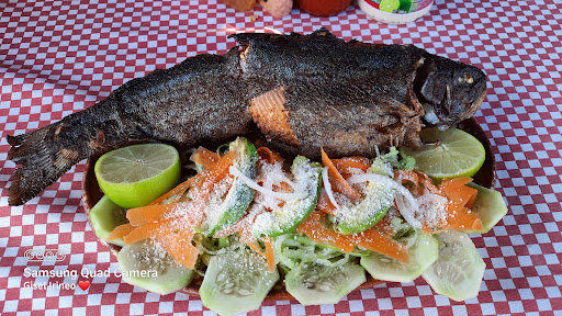 "Truchas, La Cabañita", San José Villa de Allende