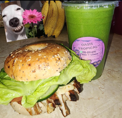 OASIS TROPICAL
