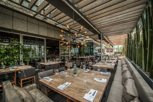 Casa Prime Insurgentes